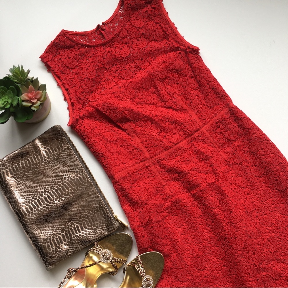 Jill Stuart Red lace fitted dress size 8
